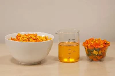 Neven - Top 10 recepata za razne tegobe