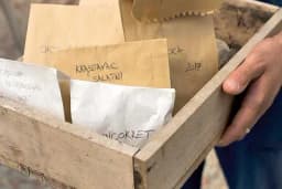 Vrijeme je za skupljanje sjemena - Kako biste na proljeće imali šta posaditi slijedite ove korake