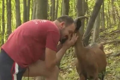 Uzgoj koza - Šansa za brojne seoske sredine