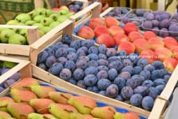 Cijene voća obaraju rekord