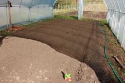 Kako pripremiti zemljište u plasteniku za optimalan rast povrća?