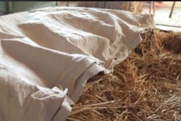 Slamarica - Hit u svijetu!