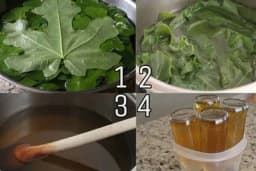 Sok od listova SMOKVE