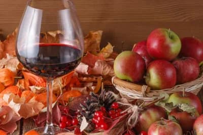 Biljna vina eliminišu umor, jačaju krv, čuvaju srce /RECEPTI/