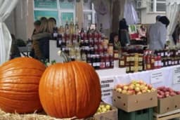 Dani tikve u Istočnom Sarajevu: Najteža tikva ima 50 kilograma (VIDEO)