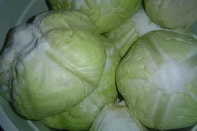 Ukiselite kupus na tradicionalan način