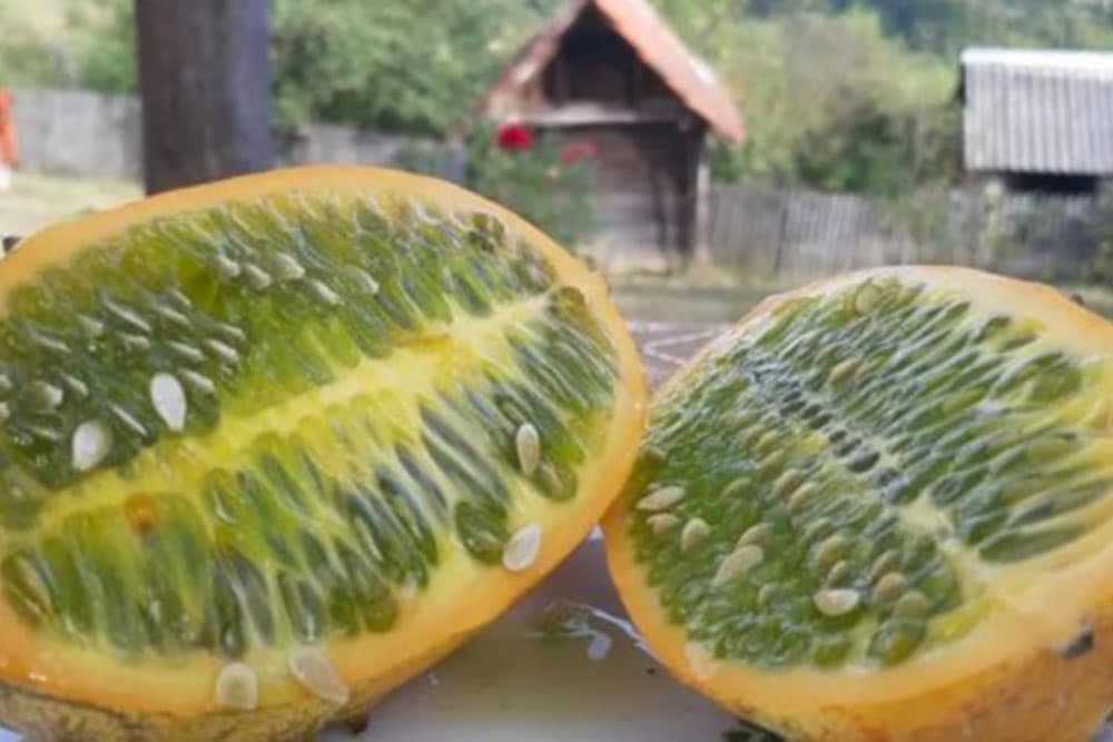 kiwano