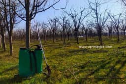 Inovacije u zimskom prskanju voćaka