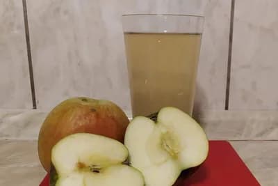 Postupak pravljenja vina od JABUKA