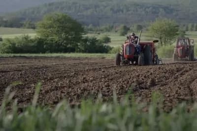 Poljoprivredna Zadruga KLEKOVAČA - Njeguje ekološki način uzgoja i prerade autohtonih žitarica i uljarica /VIDEO/