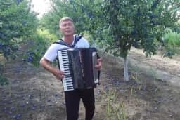 Tamo gdje vlada kupus, on zarađuje na šljivi