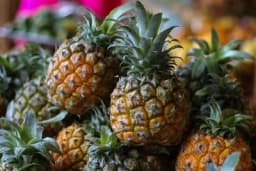 Ananas - Uslovi uspijevanja i način gajenja
