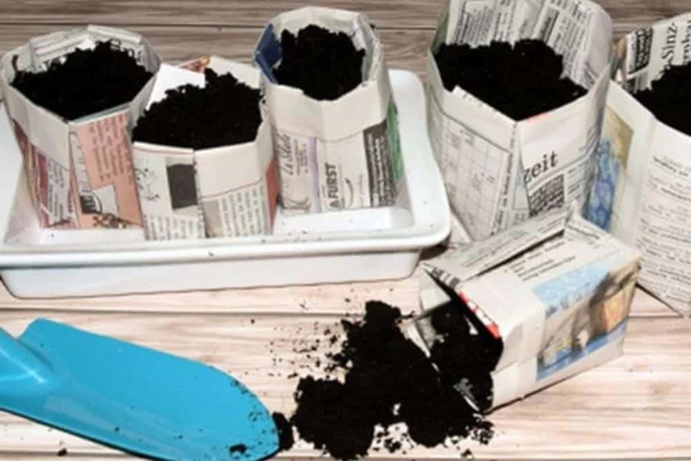 papirne čaše za rasad