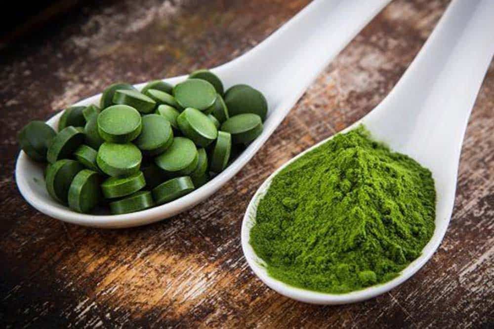 spirulina