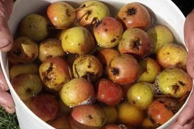 VODNJIKA - Zdrav voćni napitak za hladne dane