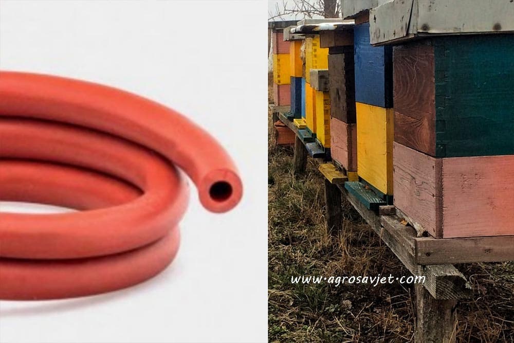 gumeno crijevo i košnice