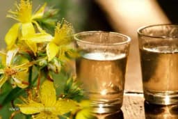 Rakija od kantariona