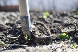 Kako dobiti plodnije zemljište na malom posjedu?