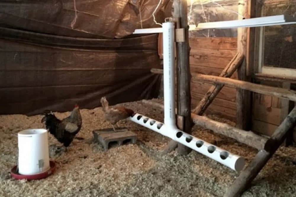 pvc hranilica za kokoške