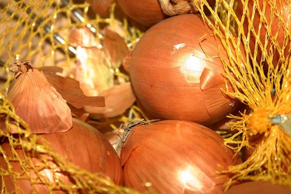 stimulator rasta od ljuski luka