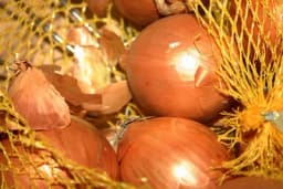 Recept za prirodni stimulator rasta mladih biljaka od ljuski luka