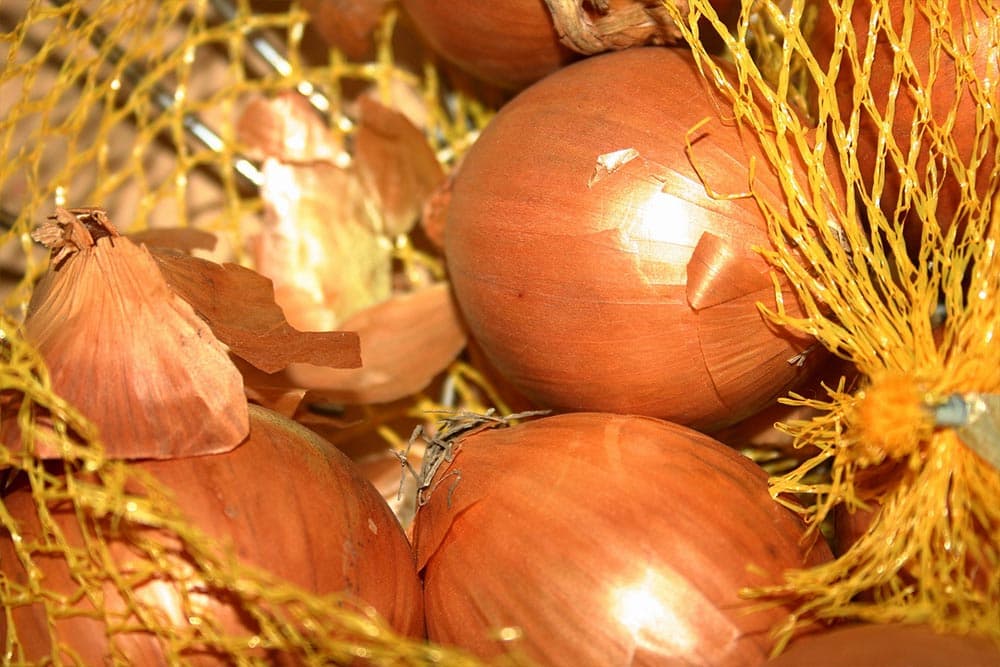 stimulator rasta od ljuski luka