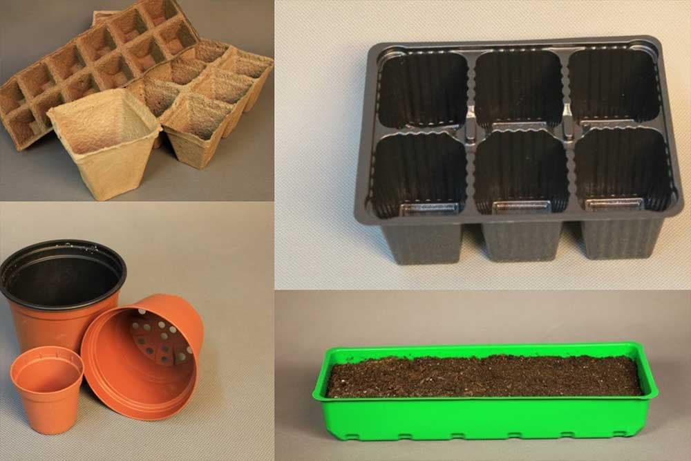 Kvalitet rasada zavisi od posuda u kojima se uzgaja - Koje izabrati?