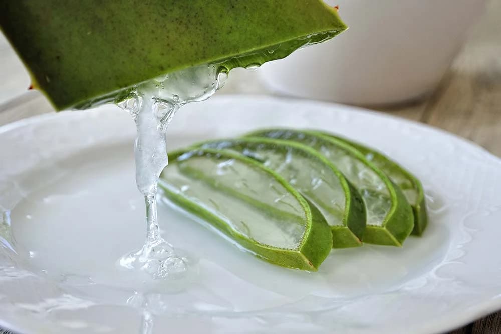 aloja gel