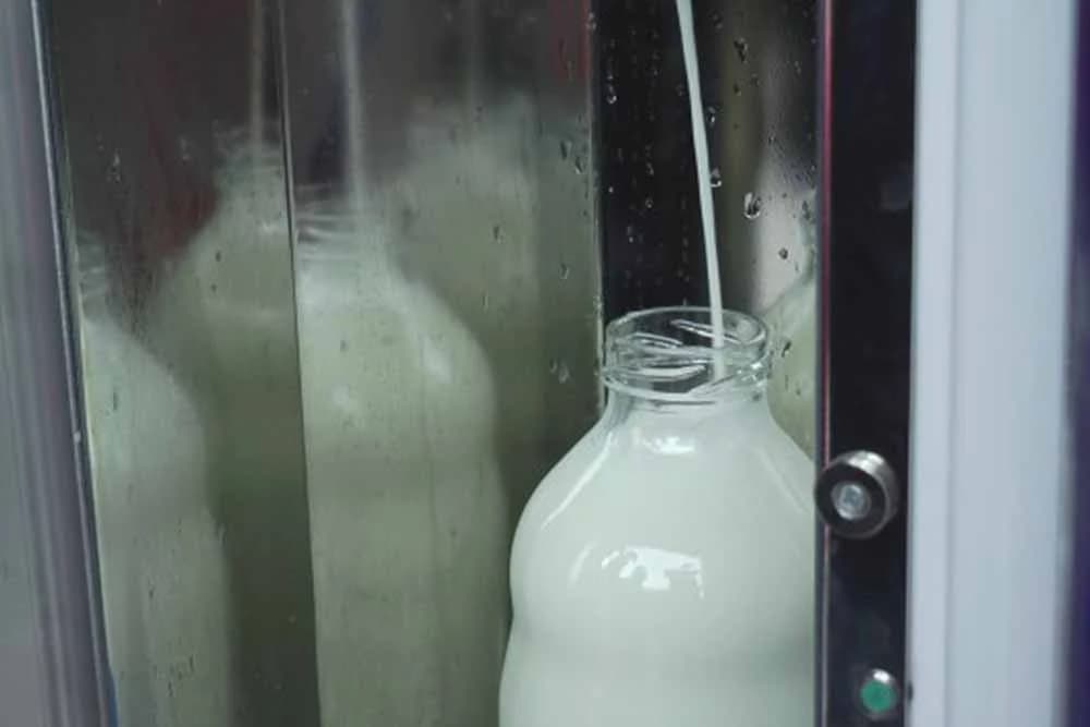 Ima deset krava i biznis u usponu - Pronašao spasonosno rješenje za domaće mlijeko?