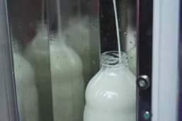 Ima deset krava i biznis u usponu - Pronašao spasonosno rješenje za domaće mlijeko?