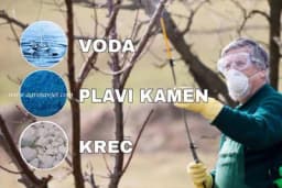 Plavi kamen, voda i kreč - Sastojci za PRIRODNI PREPARAT koji štiti biljke od BOLESTI