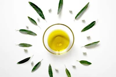 Ljekoviti čaj za koji se vjeruje da je bolji i od zelenog