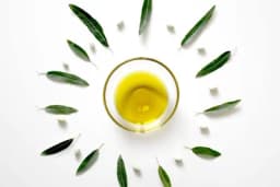 Ljekoviti čaj za koji se vjeruje da je bolji i od zelenog