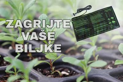 Odličan proizvod koji će spriječiti izmrzavanje mladih biljčica na početku sezone!