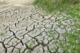 Zašto dolazi do "zamora" zemljišta i kako ga spriječiti