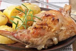 Zečetina – Hranljivo i ukusno meso bogato proteinima