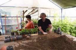 Za radove u polju dnevnica i do 100 KM