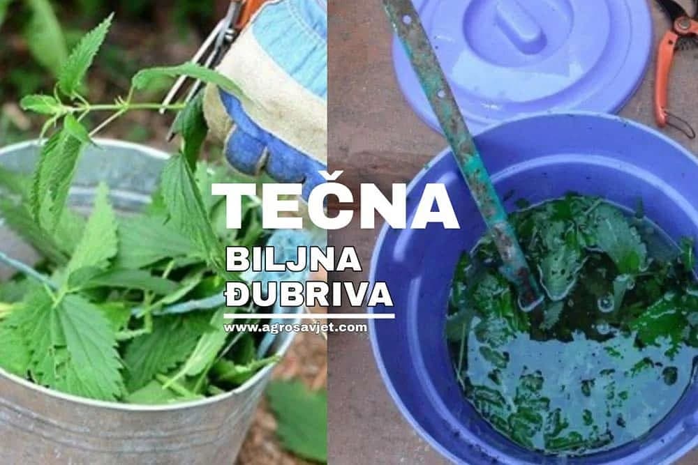 tečna biljna đubriva