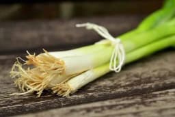 Ova namirnica važi za prirodni antibiotik