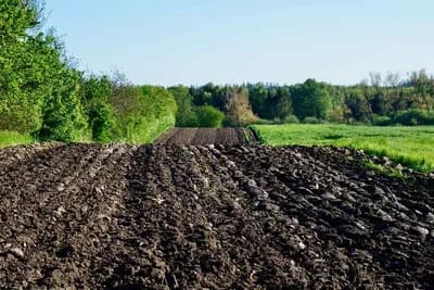 Uspjeh uzgoja voća i povrća zavisi od zemljišta - Saznajte kakvo tlo je potrebno za sadnju