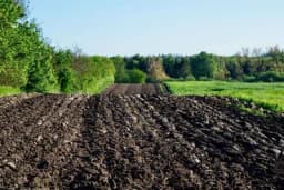 Pravilna priprema zemljišta za sadnju voćaka