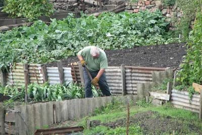 Mart je idealan mjesec za sadnju ovih 10 biljaka
