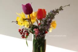 Puno više od ukrasa - Glavni razlozi zbog kojih bismo u domu trebali imati cvijeće