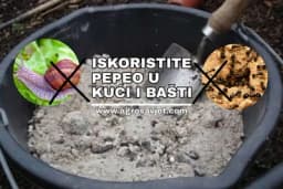 Više nećete bacati pepeo iz šporeta: Spas je u kući i za vaše biljke