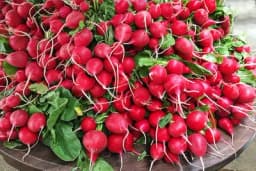 Pomaže kod dijabetesa, čuva srce, snižava krvni pritisak - Povrće koje oporavlja cijeli organizam