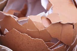 Napravite sami hranljivu smjesu za cvijeće i povrće - Jednostavna priprema od tri sastojka