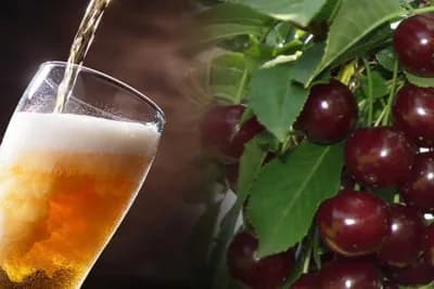 Čaj od listova višnje + pivo: Super-zdrav RECEPT