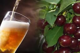 Čaj od listova višnje + pivo: Super-zdrav RECEPT