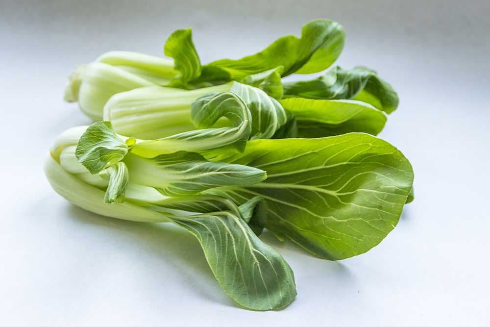 pak choi