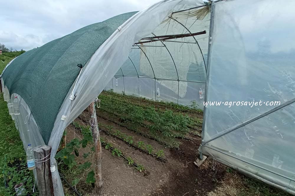 provjetravanje plastenika